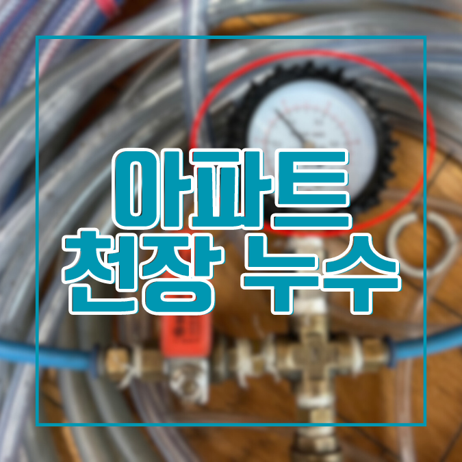 용인누수탐지 풍덕천동 아파트 천장 누수-거실, 주방, 베란다 죄다 물이 새요