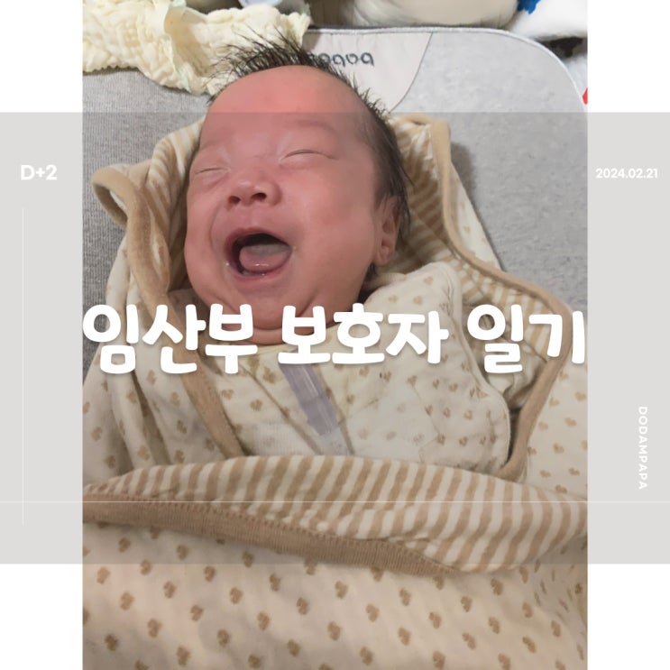 2024.02.21 임산부 보호자 일기 D+24일 2024.02.21 임산부 보호자 일기 D+24일