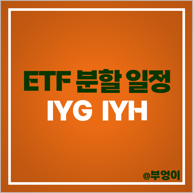 블랙록 미국 ETF 액면분할 IYG IYH 금융주 헬스케어 관련주 블랙록 미국 ETF 액면분할 IYG IYH 금융주 헬스케어 관련주