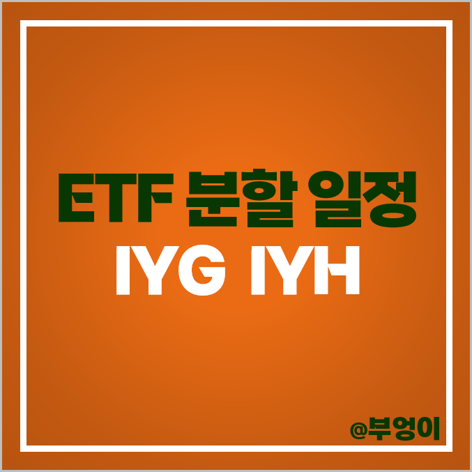 블랙록 미국 ETF 액면분할 IYG IYH 금융주 헬스케어 관련주