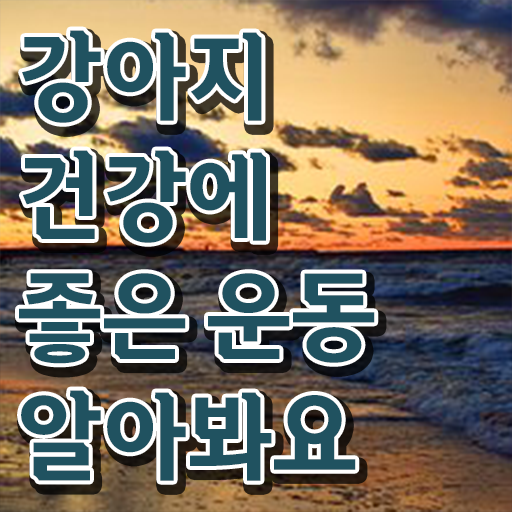  반려견운동지도사 자격증 취득방법 필수 정보 수록 !