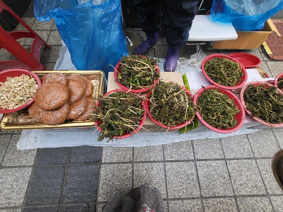 크붕이 사진 3