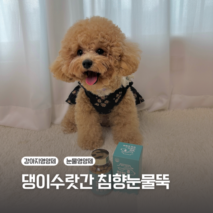  [강아지영양제]댕이수랏간 침향눈물뚝 / 눈영양제
