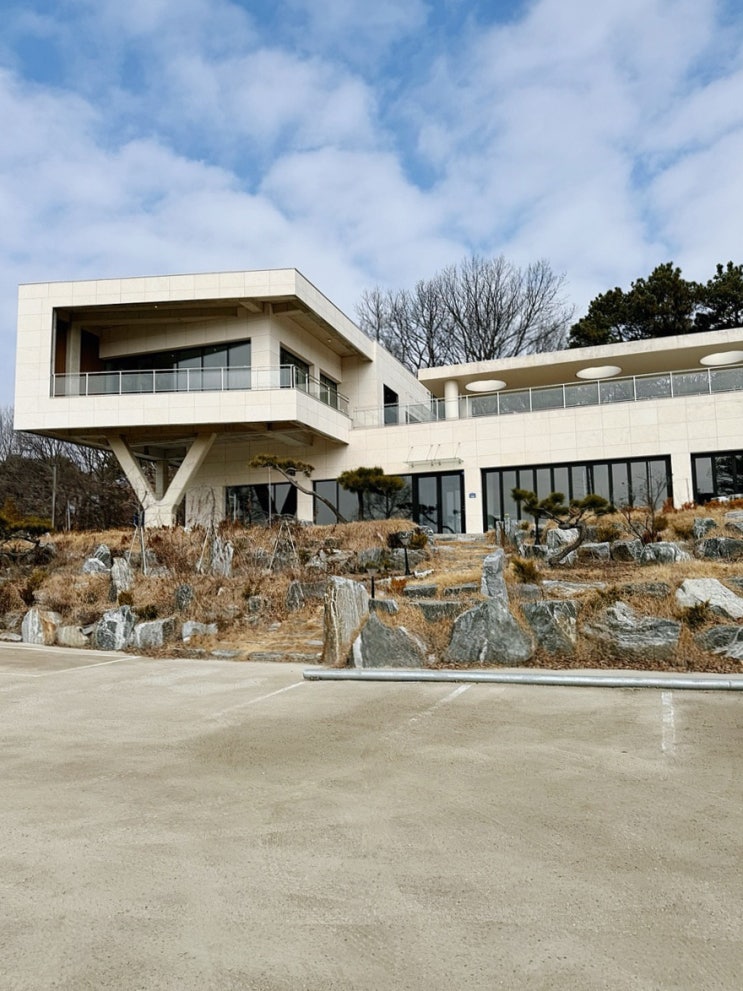  이천 애견동반 카페 신상 카페더엠 대형 실내 야외 베이커리 맛집