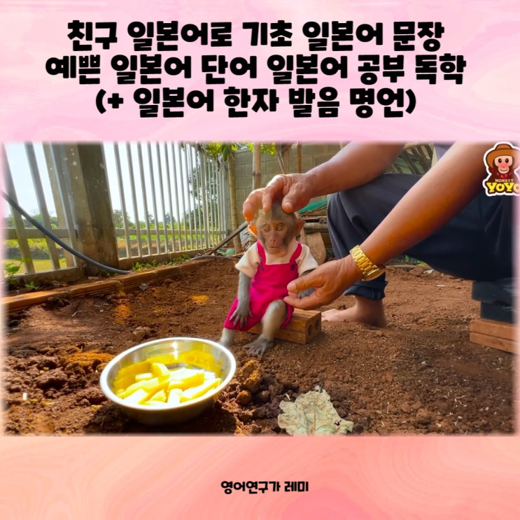 친구 일본어로 기초 일본어 문장 예쁜 일본어 단어 일본어 공부 독학 (+ 일본어 한자 발음 명언) 친구 일본어로 기초 일본어 문장 예쁜 일본어 단어 일본어 공부 독학 (+ 일본어 한자 발음 명언)