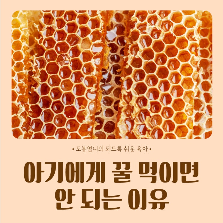 돌전 아기 꿀 먹이면 안 되는 위험한 이유