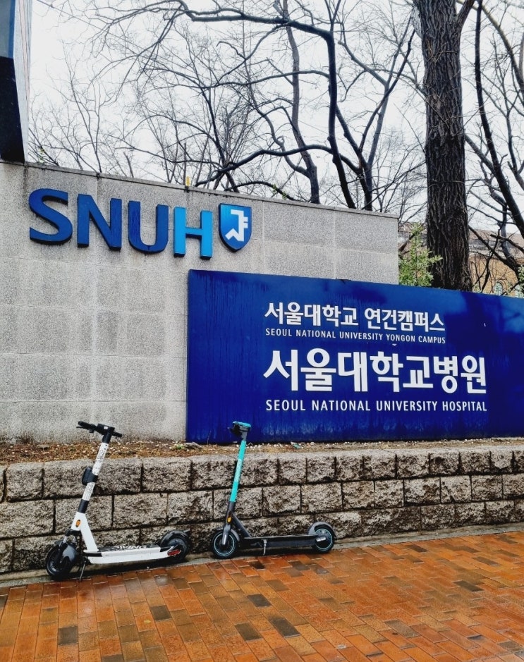  알레르기 병원 서울대학교병원 알레르기내과 마지막 진료받았어요.