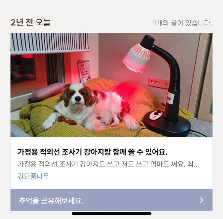  블로그 기능 중 지난 오늘 글 돌아보기