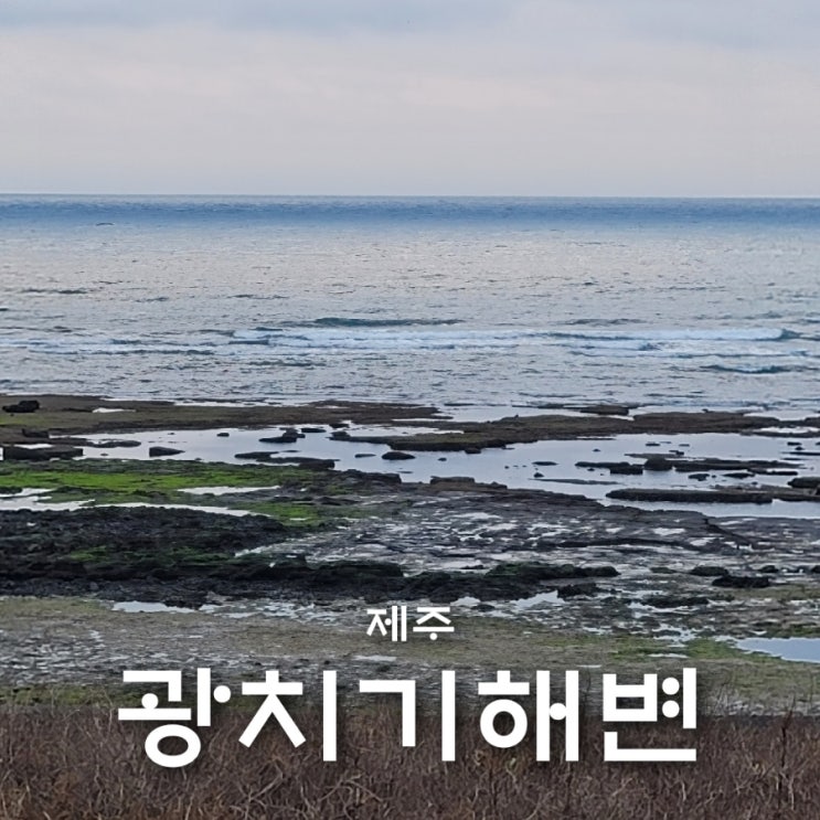 제주 일출 명소 광치기해변 해돋이 일출시간