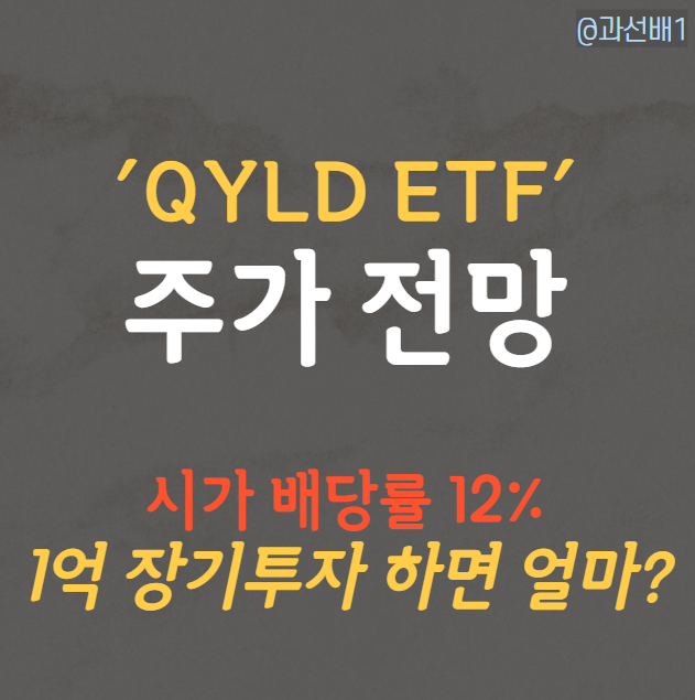 QYLD로 12% 월배당 ETF 투자해볼까(ft. 1억 투자 배당금과 주가)