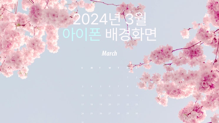 벚꽃피는 2024년 3월 달력 아이폰 15 프로맥스 배경화면 & 심플 달력배경