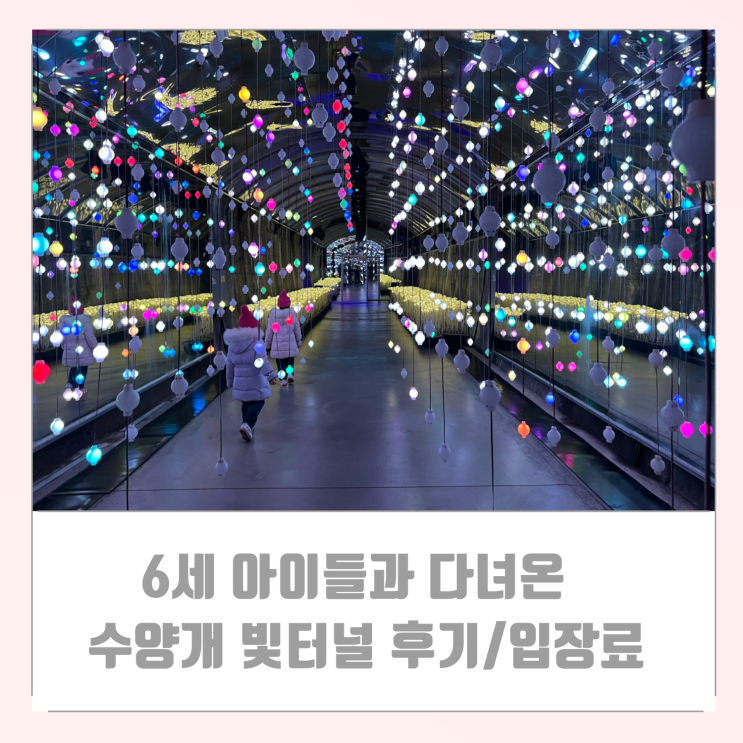  6세 아이들과 다녀온 단양 수양개빛터널  후기/입장료/이끼터널 야경