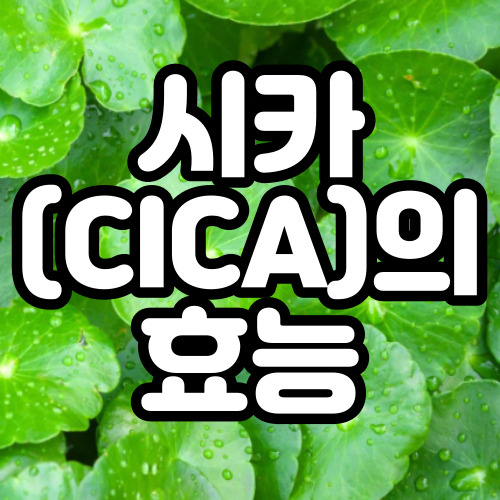  시카의 효능 화장품 고를 때 참고하세요