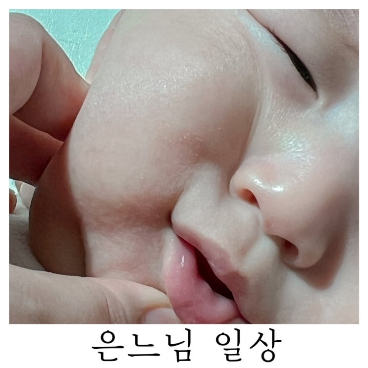  [은느님 일상]구찌헌은 이가 나고 있었다