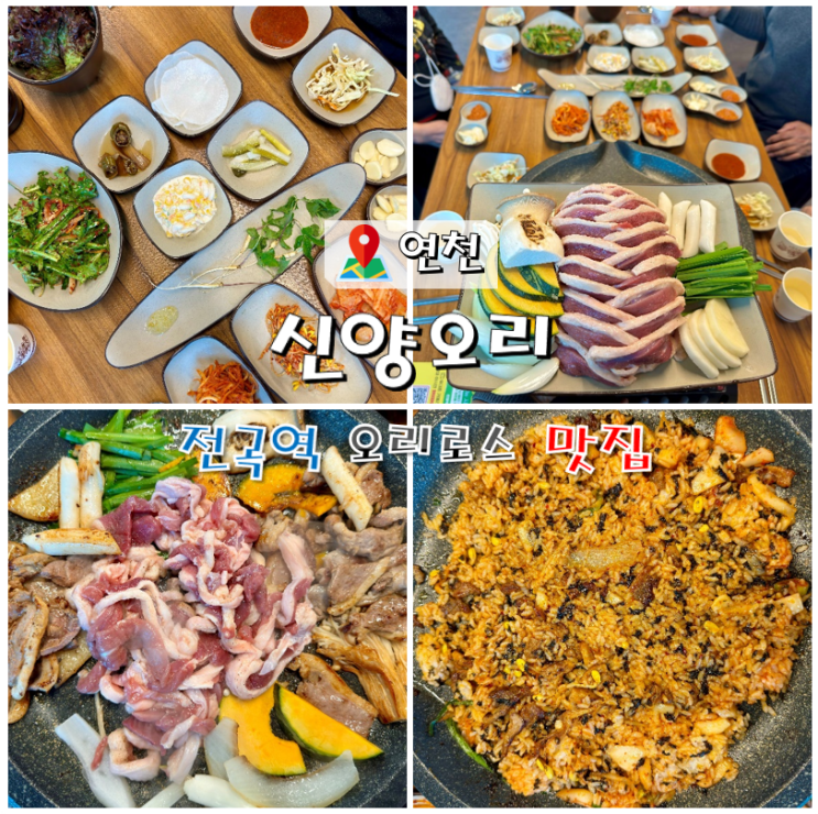  연천 전곡역 맛집 신양오리 오리로스 내돈내산