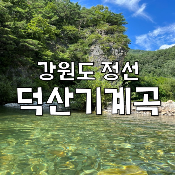 먼저골펜션 사진 1