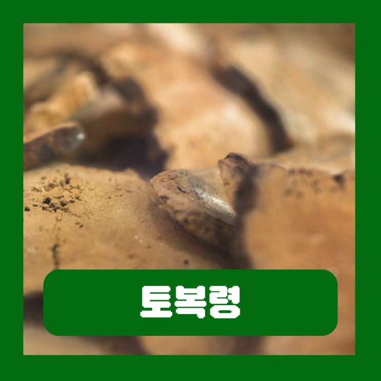 토복령 망개나무뿌리 효과 부작용 신장에 좋은 차