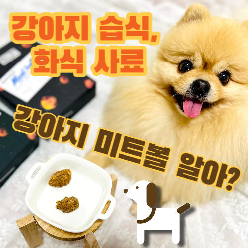  노령견 강아지습식사료 추천, 키친앤도그 우주독우피 강아지미트볼 후기