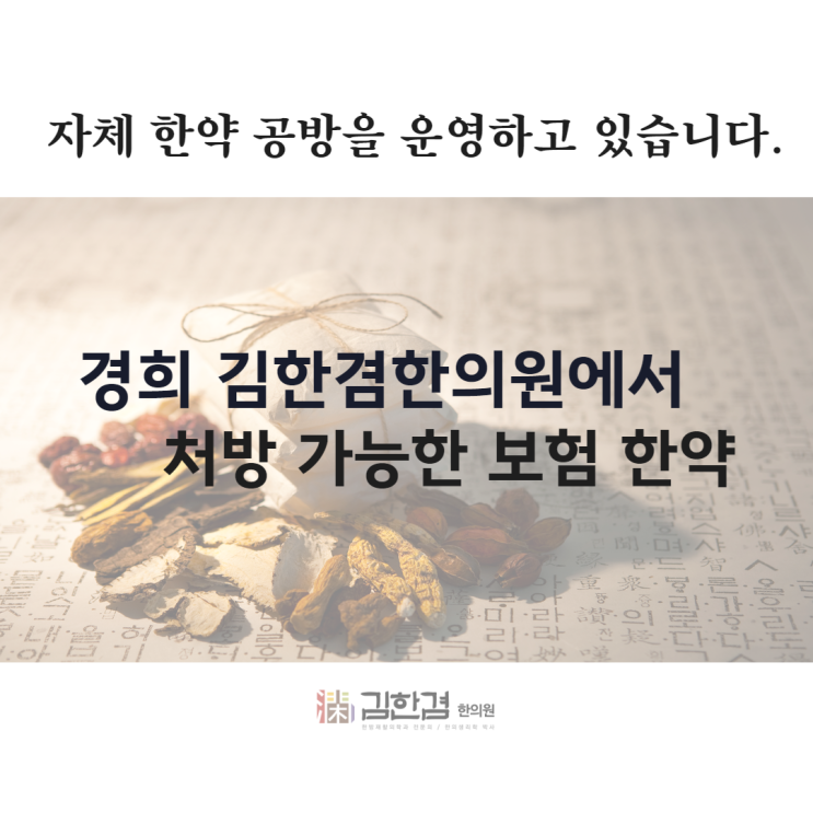  분당 김한겸한의원에서 처방 가능한 보험한약 종류