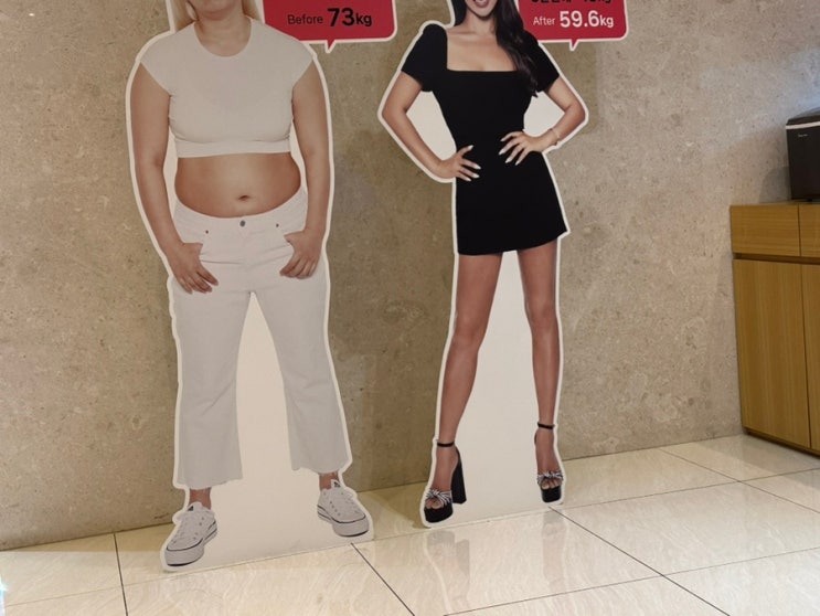 빼빼환 후기/효능/효과/부작용 (안무가 <b>배윤정</b> 다이어트)