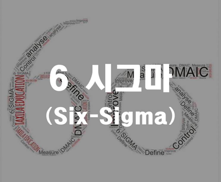  품질경영2 (6 Sigma) _ 기업진단지도