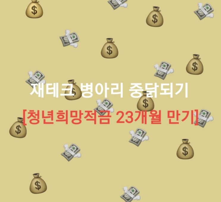  NH청년희망적금 23개월 만기 결과