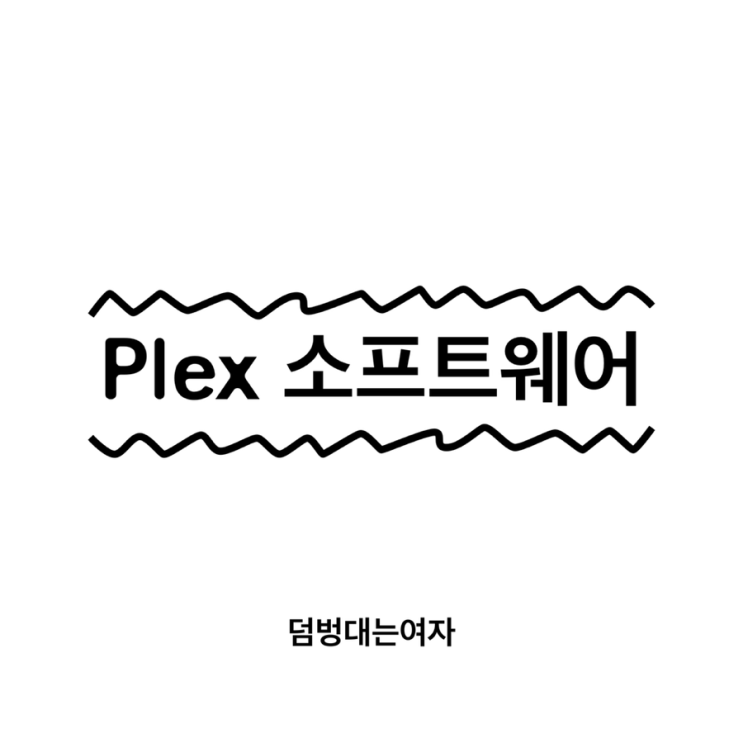 Plex 소프트웨어 가이드: 기능, 파일 형식, 음악스트리밍, 개인 넷플릭스 구축