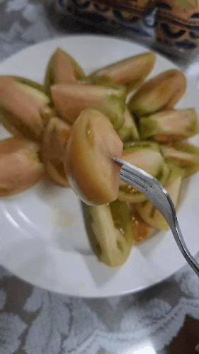  싱싱한 과일을 온전히 집에서 과일 183번 대저 토마토 후기