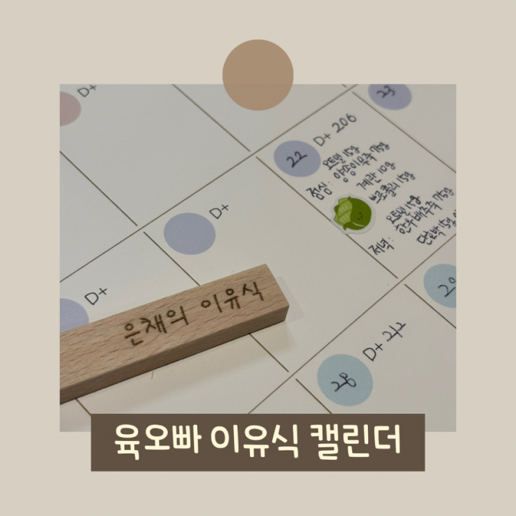  이유식 캘린더로 추천하는 육오빠이유식달력