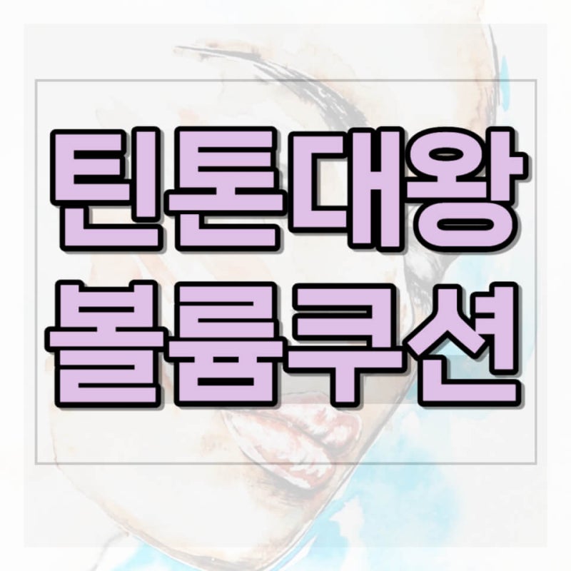 틴톤 대왕 볼륨 쿠션 가성비 큰 사이즈로 한 번에 화장 가능?