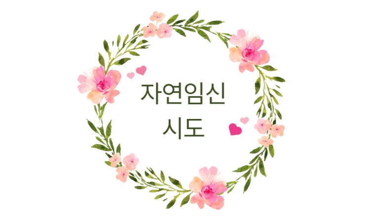 임신 준비4: 배란일 확인 및 자연임신 시도