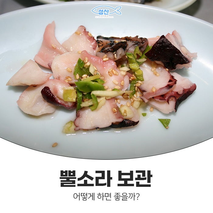 뿔소라 보관, 어떻게 하면 좋을까?