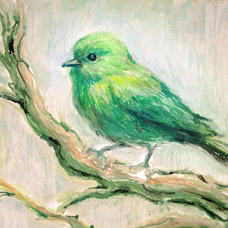 muun - Green Bird [노래가사, 노래 듣기, Audio]