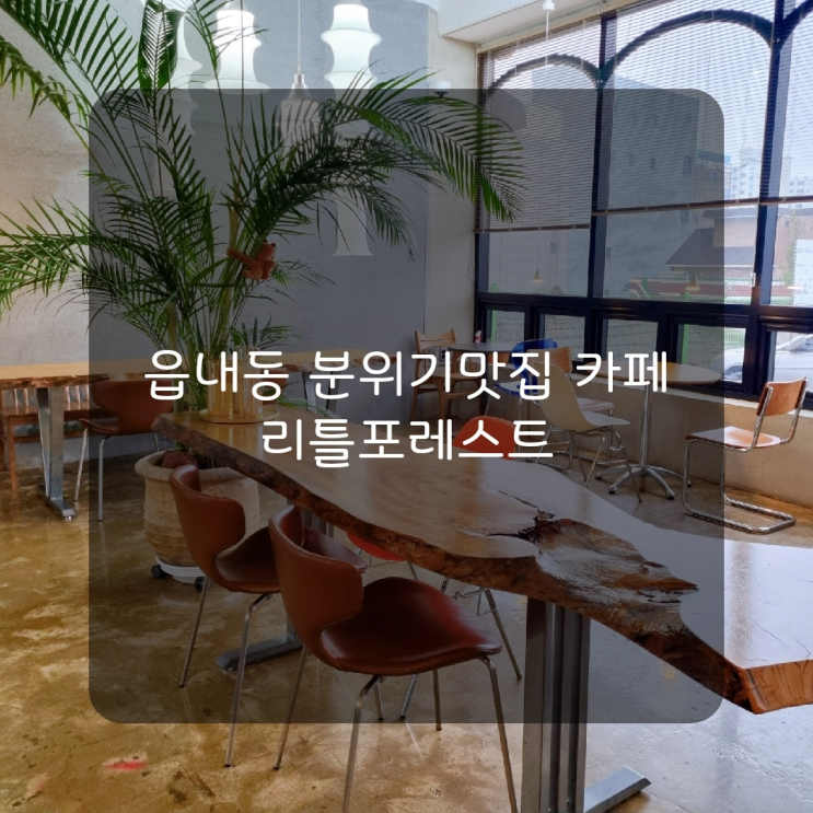  [당진카페] 감성맛집 읍내동 카페 추천 '리틀포레스트'