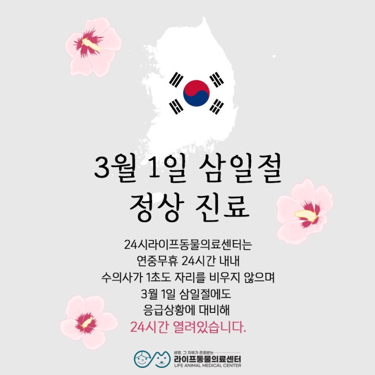 대구24시동물병원(대구삼일절동물병원) : 24시라이프동물의료센터 연중무휴 동물병원