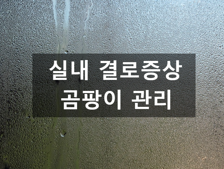  실내 결로증상, 집에서 곰팡이 피우지 않기