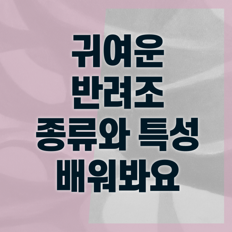  반려조관리사 자격증 빠른 취득 핵심 정보 가득 드려요 ?! 한국자격검정원