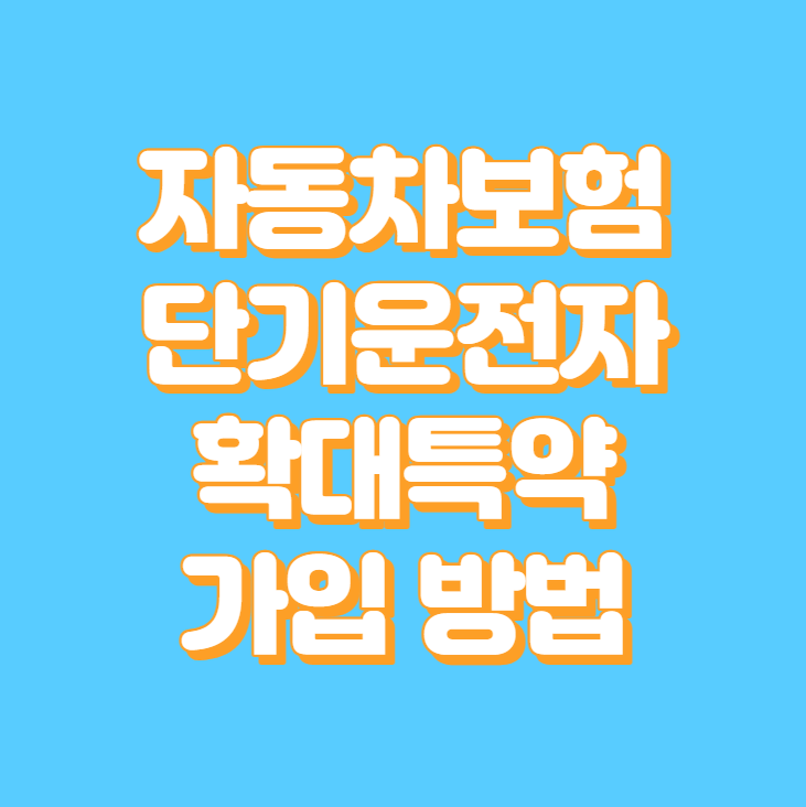 자동차보험 단기운전자확대특약 가입 방법