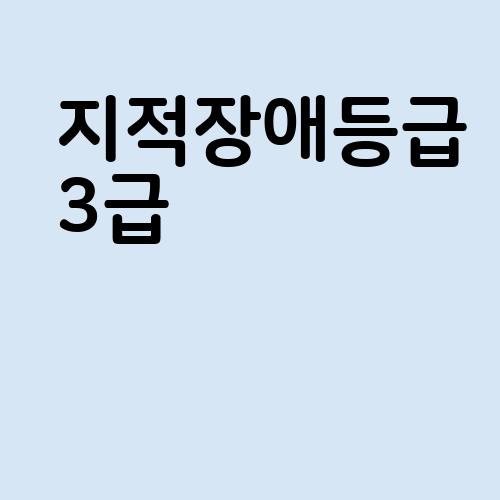지적장애등급 3급 2급 수준