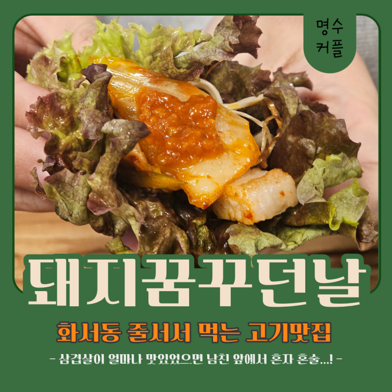 돼지꿈꾸던날 이미지
