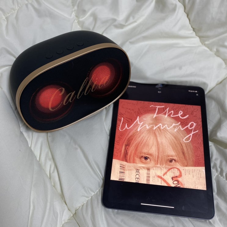  레트로 감성 오브제 Callia 칼리아 무선 블루투스 스피커 샤론 TW-890