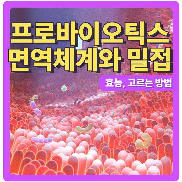  프로바이오틱스 유산균의 효능과 잘 고르기