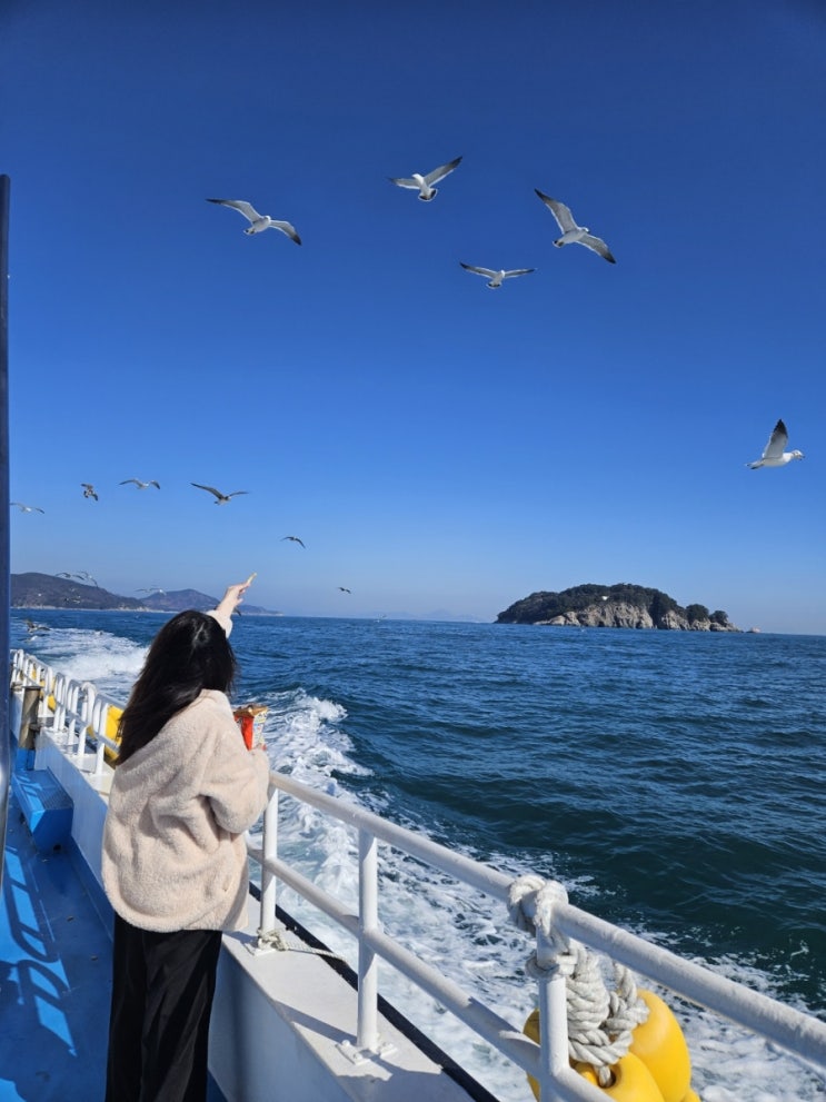  거제도 외도 보타니아 해금강 지세포 관광 유람선 선착장 시간 요금 코스 국내 섬 여행 가볼만한곳 추천