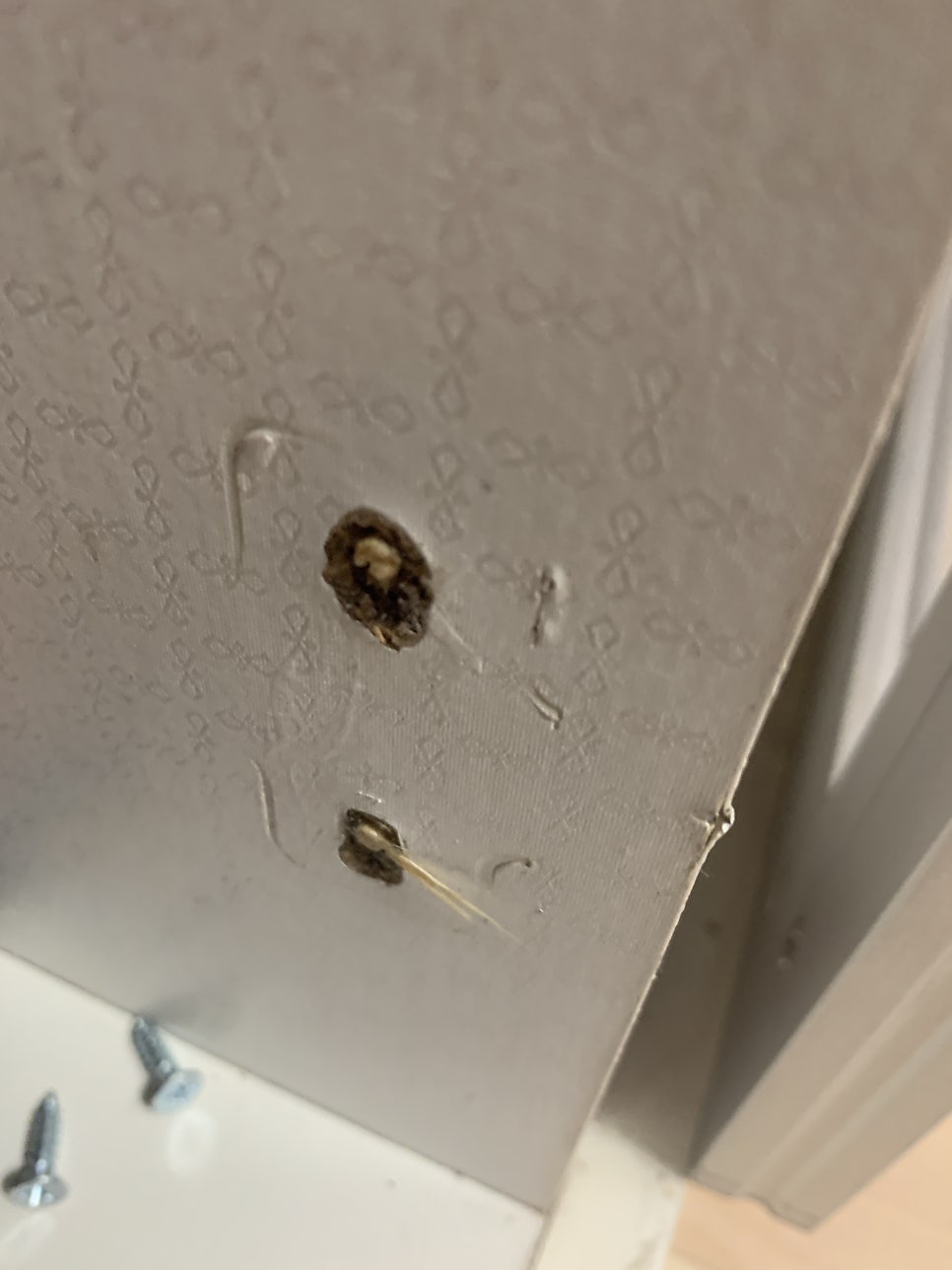 붙박이장 문 수리 경첩 부러져 문 떨어짐 경첩 교체 전문가