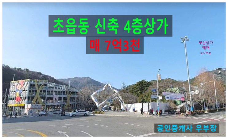  부산상가매매 초읍동 성지곡수원지 인근  커피숍 입점 신축 4층 상가 추천매물