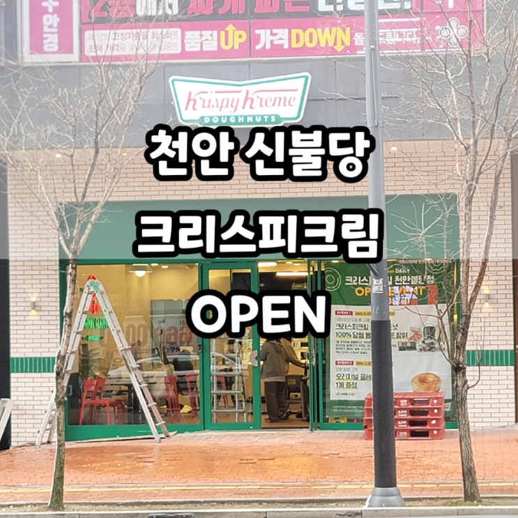  천안 불당동 크리스피크림 도넛  왔구나