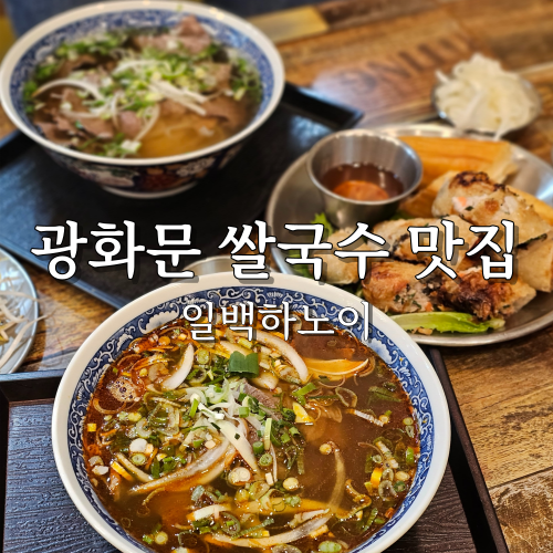  종로 쌀국수 맛집 일백 하노이 광화문 직장인 점심 메뉴 추천