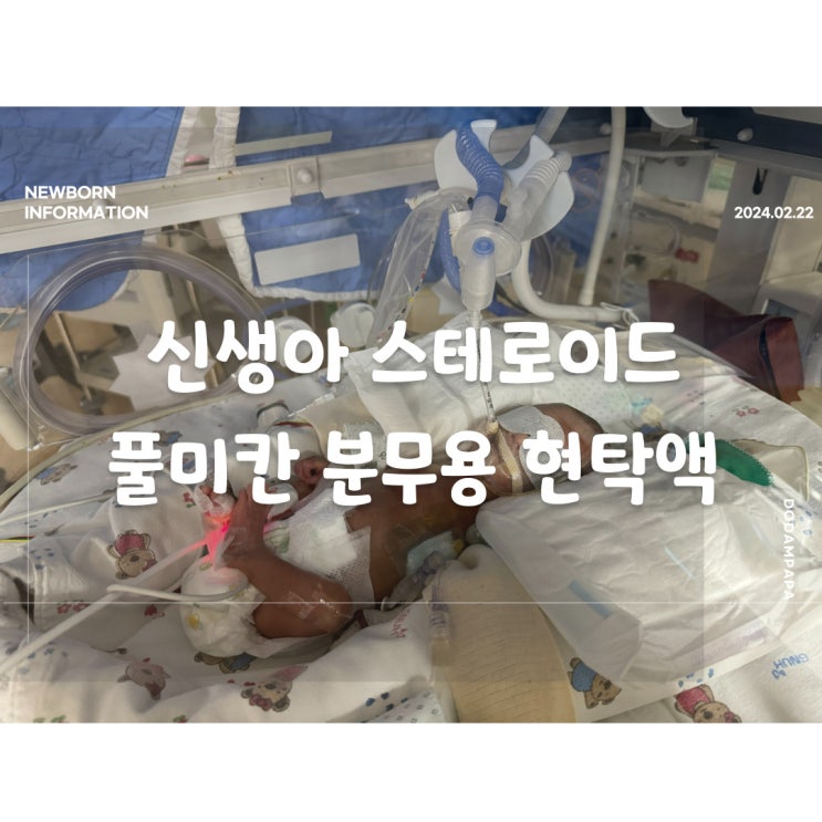 신생아 스테로이드 풀미칸 분무용 현탁액 흡입형 스테로이제 신생아 스테로이드 풀미칸 분무용 현탁액 흡입형 스테로이제