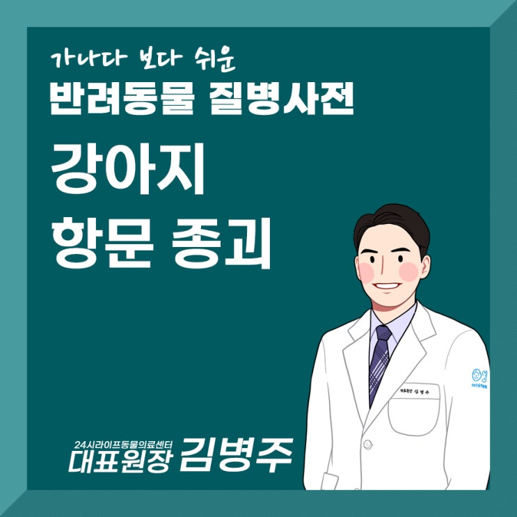 24시라이프동물의료센터 : 강아지 항문종괴 (강아지 항문 혹, 엉덩이 혹) 24시라이프동물의료센터 : 강아지 항문종괴 (강아지 항문 혹, 엉덩이 혹)