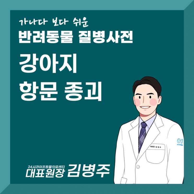 24시라이프동물의료센터 : 강아지 항문종괴 (강아지 항문 혹, 엉덩이 혹)